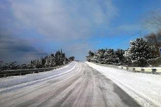 фото Алупка зима 